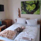 2608F 004 Hotel Goldenes Fass